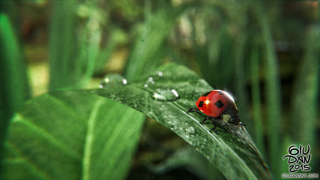 Square pattern ladybug