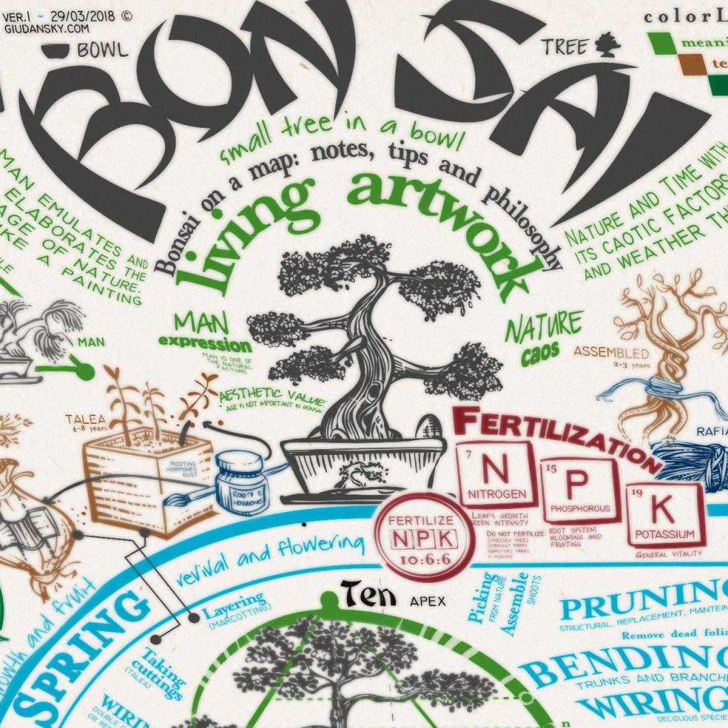 Bonsai in un poster