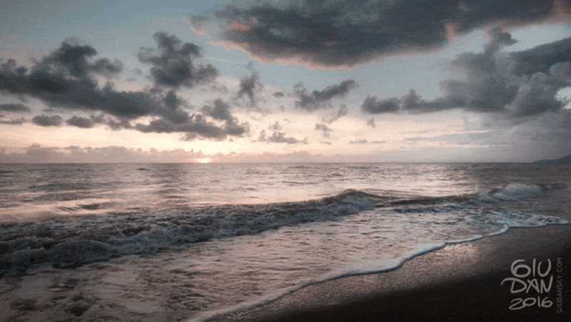 sunset on the beach animated gif
