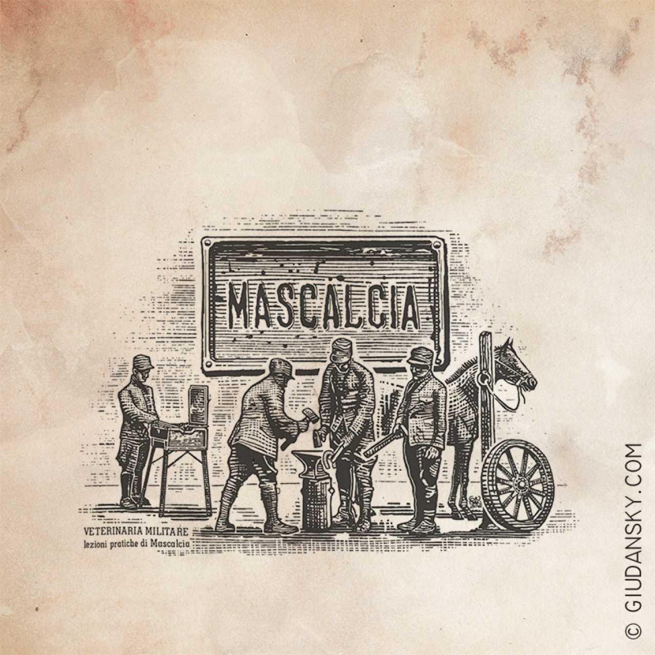 illustrazione maniscalchi